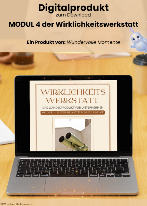 Wirklichkeitswerkstatt für Unternehmen – "Modul4 Hebelpunkte und Spielräume"